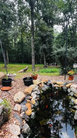 Apartment Nestled in Woods of Charming Charlottesville Отели рядом с Аэропорт Шарлотсвилл