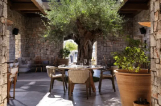 W Costa Navarino Hoteles en Pylos