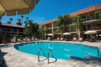 DoubleTree Suites by Hilton Tucson - Williams Center - Pool