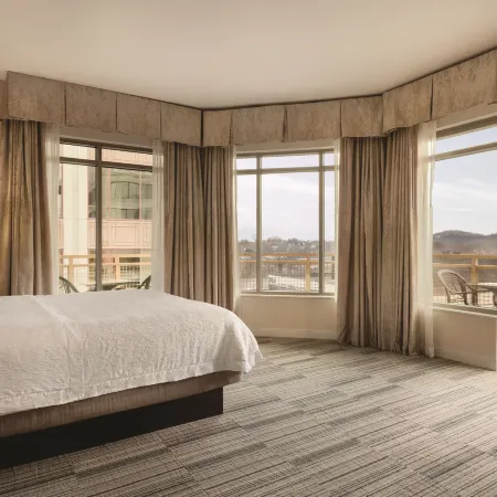 Hampton Inn & Suites Roanoke Downtown