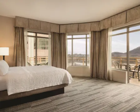 ハンプトン  イン & スイーツ ロアノーク  ダウンタウン ロアノークのホテル