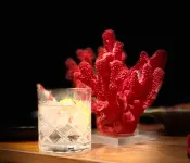 Hotel Corallo B&B - bar