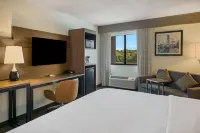 Radisson Hotel Grand Rapids Riverfront - bar