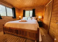 Cozy Boutique Mtn Cabin, Hot Tub, Views, Privacy, Dogs OK, Sleeps 1 to 4 Guests