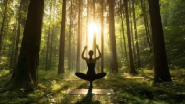 Amore on Buderim Rainforest Cabins