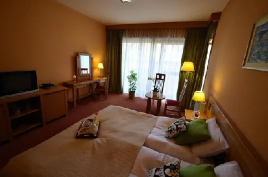 Hotel - Restaurant Gonduzo Hotels in 