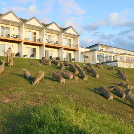 Mon Joli Motel