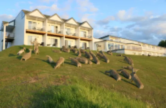 Mon Joli Motel Hotels in 