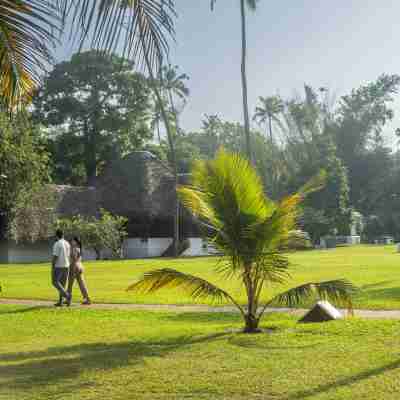 Marari Beach Resort Alleppey- a CGH Earth Experience Hotel Exterior