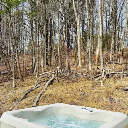 Stream Side Cabin surrounded by woods + Fire Pit