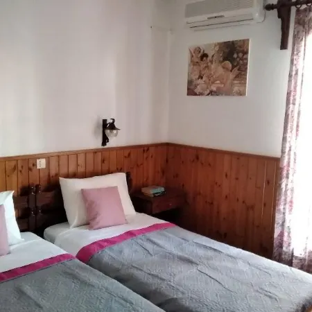 Pettite Morfo