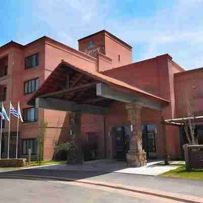 Regency Park Hotel Hotel Exterior