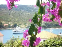 Romantic Apartment with Sea View Vinie, Dalmatia - Merinäköala