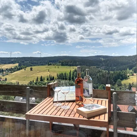 Schwarzwaldblick