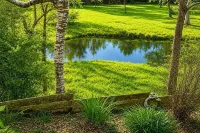 Romantic Historic Farmhouse - Pond - Porch - Fenced - 8 Miles to Brenham - Homestays