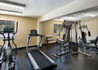 Maple Tree Inn - Gym
