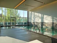 Swissotel Uludag Bursa - Pools