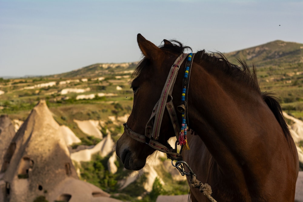 Harem Cappadocia