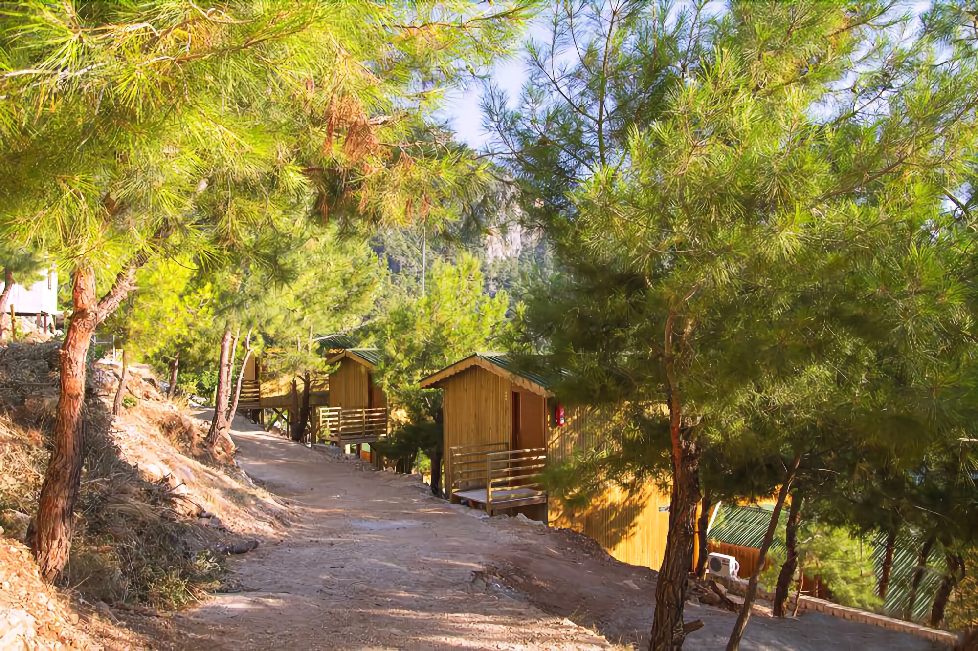 Tree Houses