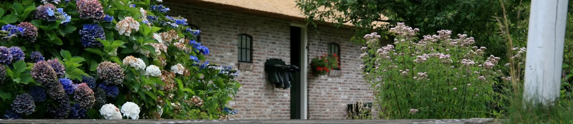 Gehobene Hotels 