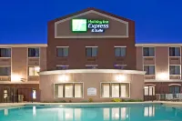 Holiday Inn Express & Suites WILLCOX by IHG - Family