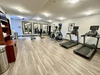 Staybridge Suites DETROIT - NOVI by IHG - Træningscentre