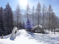 Les Beluardes Bl. 151/2 Hotels in Gryon