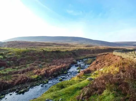 88 Regent Street Отели в г. Гриндлтон