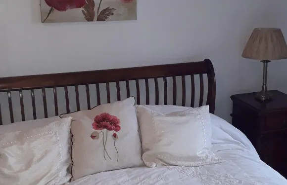 舊圖書館和小屋