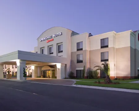 スプリングヒル スイーツ バイ マリオット サバンナ エアポート サバンナのホテル