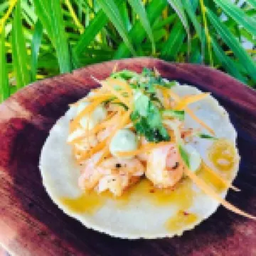 ヴィラス ティブロン アダルツ オンリー