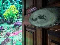 Ocean Vista
