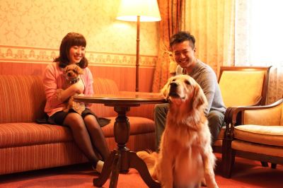 その他 高山わんわんパラダイスの写真