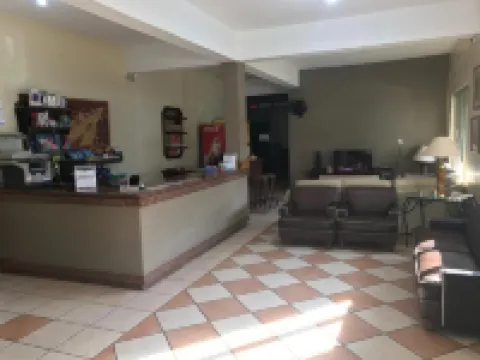 Figueira Palace Hotel Hotéis em Dourados