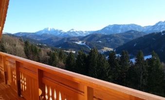 a wooden balcony with a beautiful view of snowy mountains and trees in the background at Hohenstein