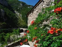 Hôtel des Bateliers Hotels in Lozere