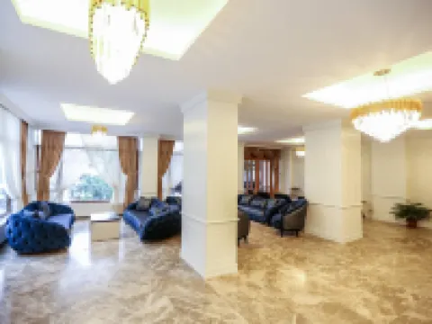 Thermal Saray Hotel & Spa Yalova Hotels in Termal