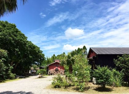 いやされの宿 田舎や/鹿児島県、温泉