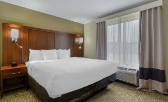 Comfort Suites at Kennesaw State University