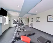 Comfort Inn & Suites Springfield I-55 - Gym