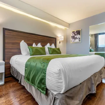 Quality Inn Chihuahua San Francisco Hotels near Chepe Station