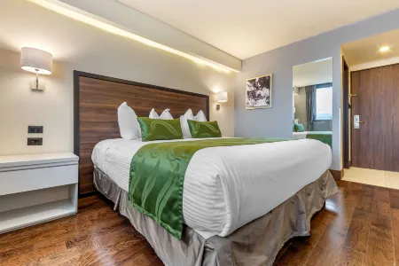 Quality Inn Chihuahua San Francisco