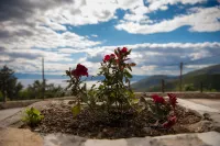 Pelion Goddess Villas - Wi-Fi