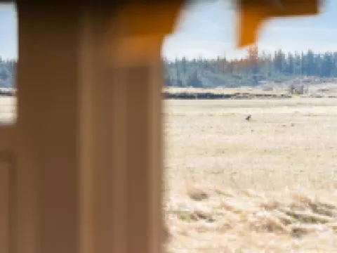 "Tianna" - 500m from the Sea Hotels in Pandrup