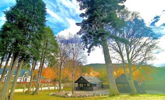 Braemar Lodge Cabins