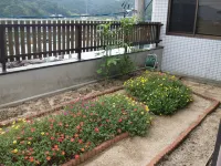 Guest House Amy Manbos Hotel di 