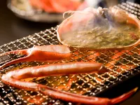 Shogawa Onsen Yumetsuzuri