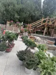 Shangpo Shanzhai Homestay Hotels near Jiuru Mountain Waterfall Scenic Area