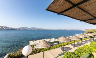 Peaceful Flat with 3 Private Beaches in Bodrum