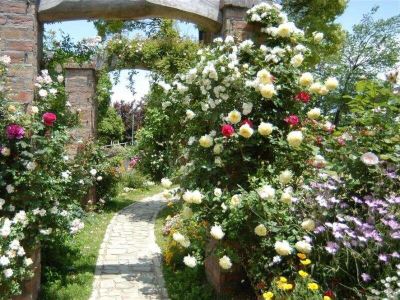 庭 ホテルリゾーピア熱海の写真